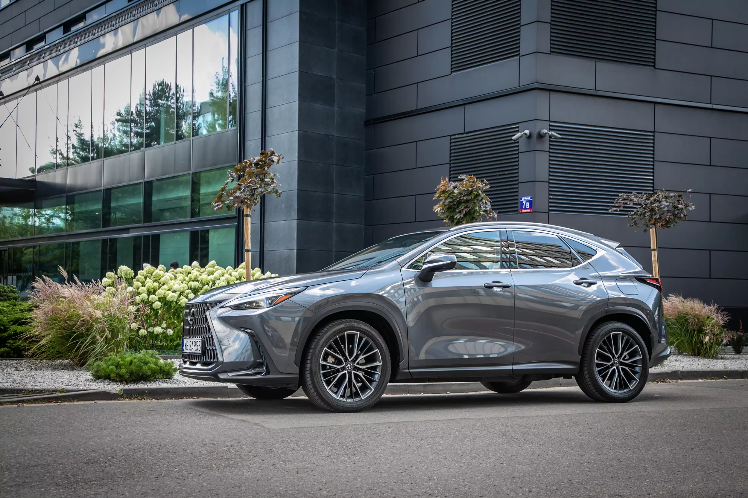 Lexus NX_450h MY 2025 SUV
