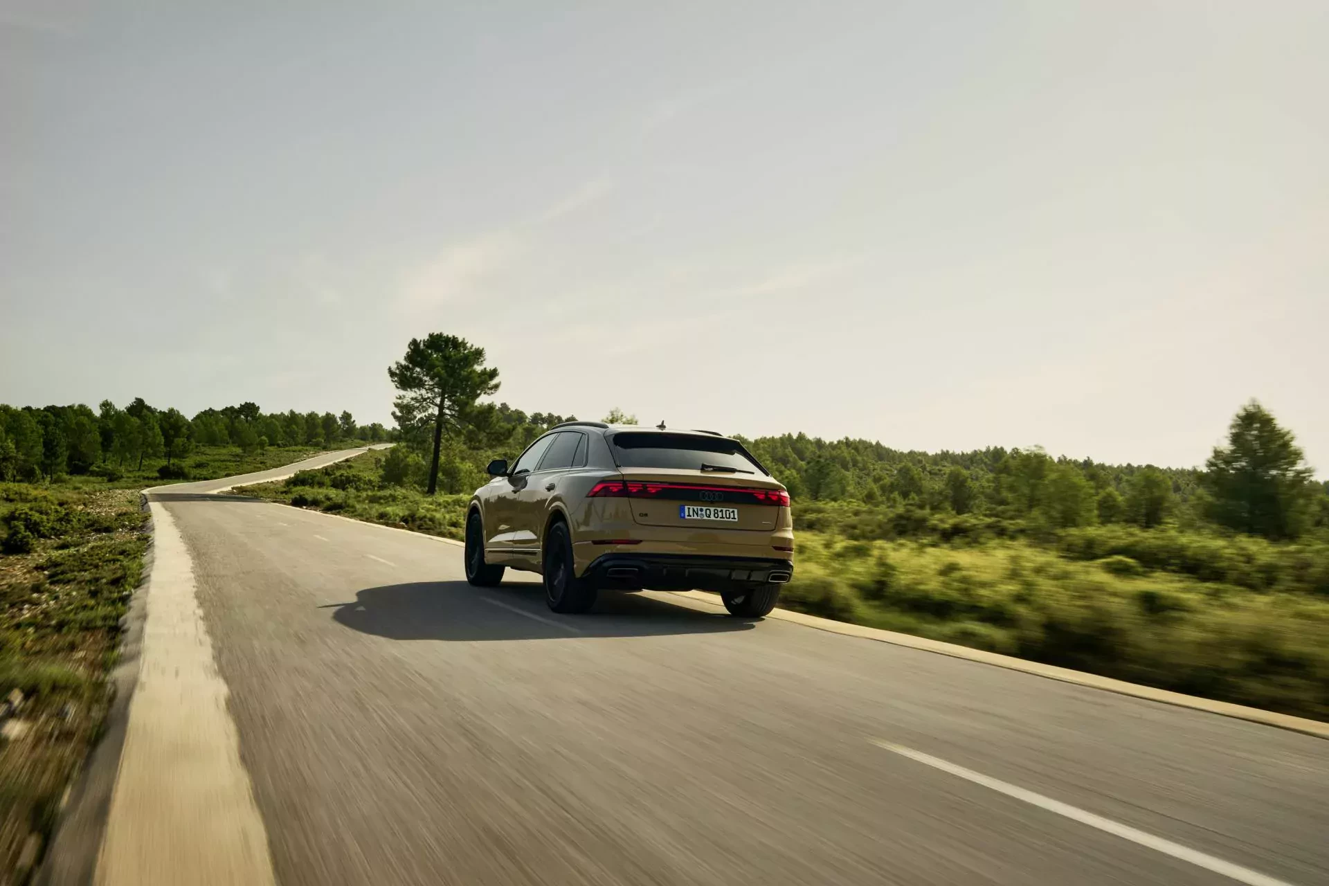 SUV Audi Q8 silnik moc osiągi cena ceny używany opinie oceny zalety wady