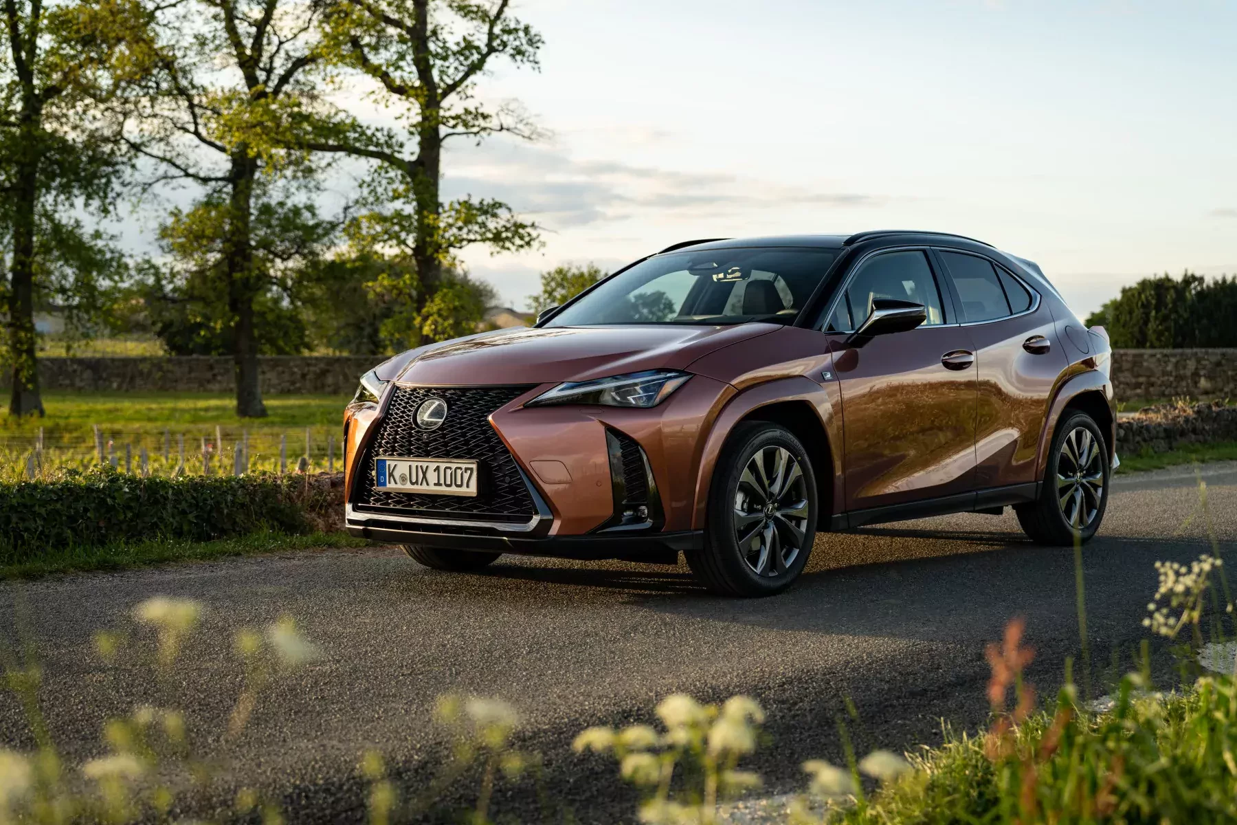 SUV Lexus UX 2025