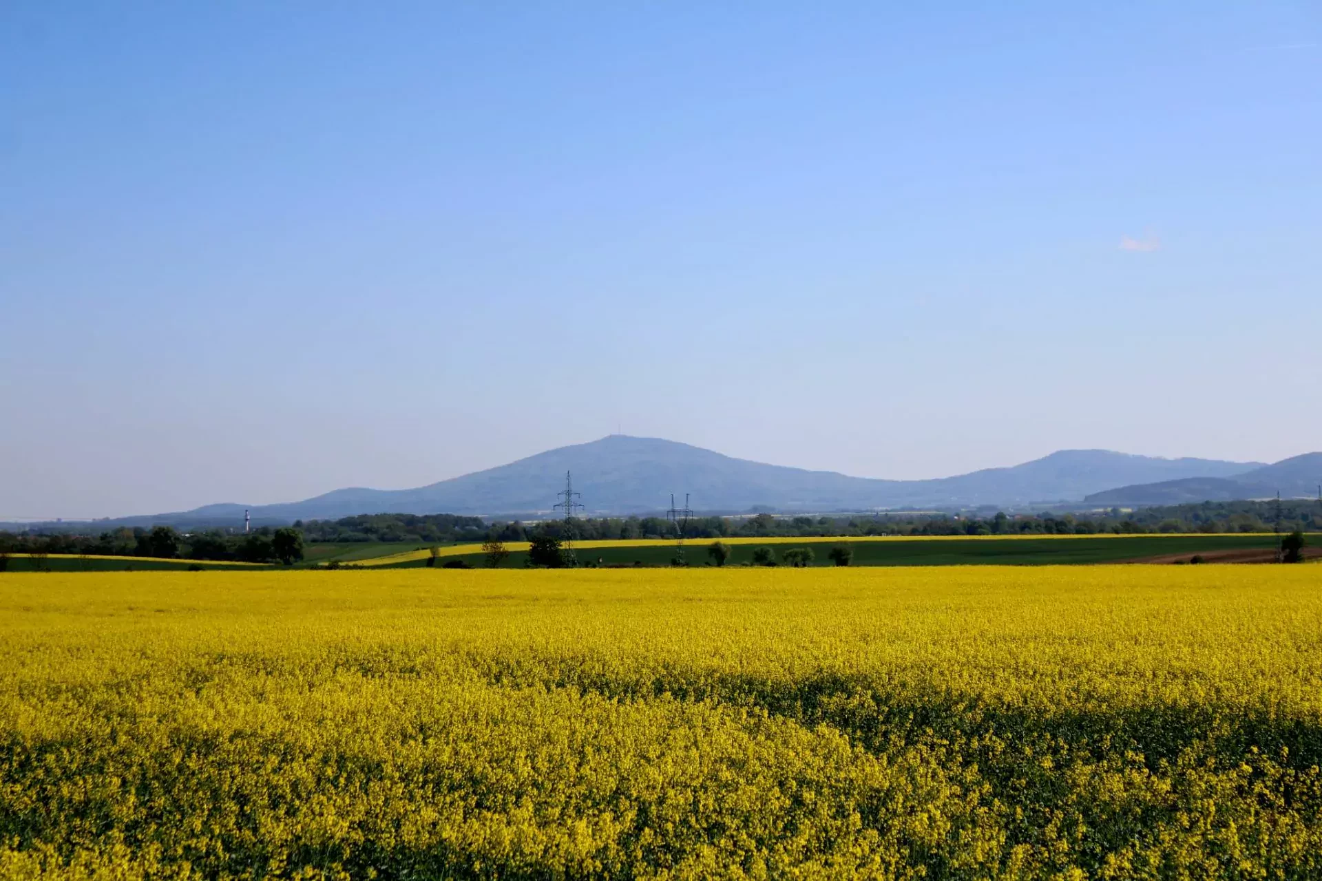 Złote Wurce 2025 RSMP matulka marczyk plebiscyt wrc