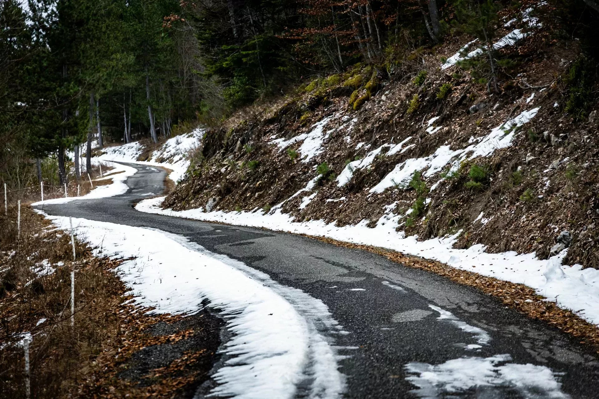 Rajd Monte Carlo WRC prognoza pogoda opony Hankook