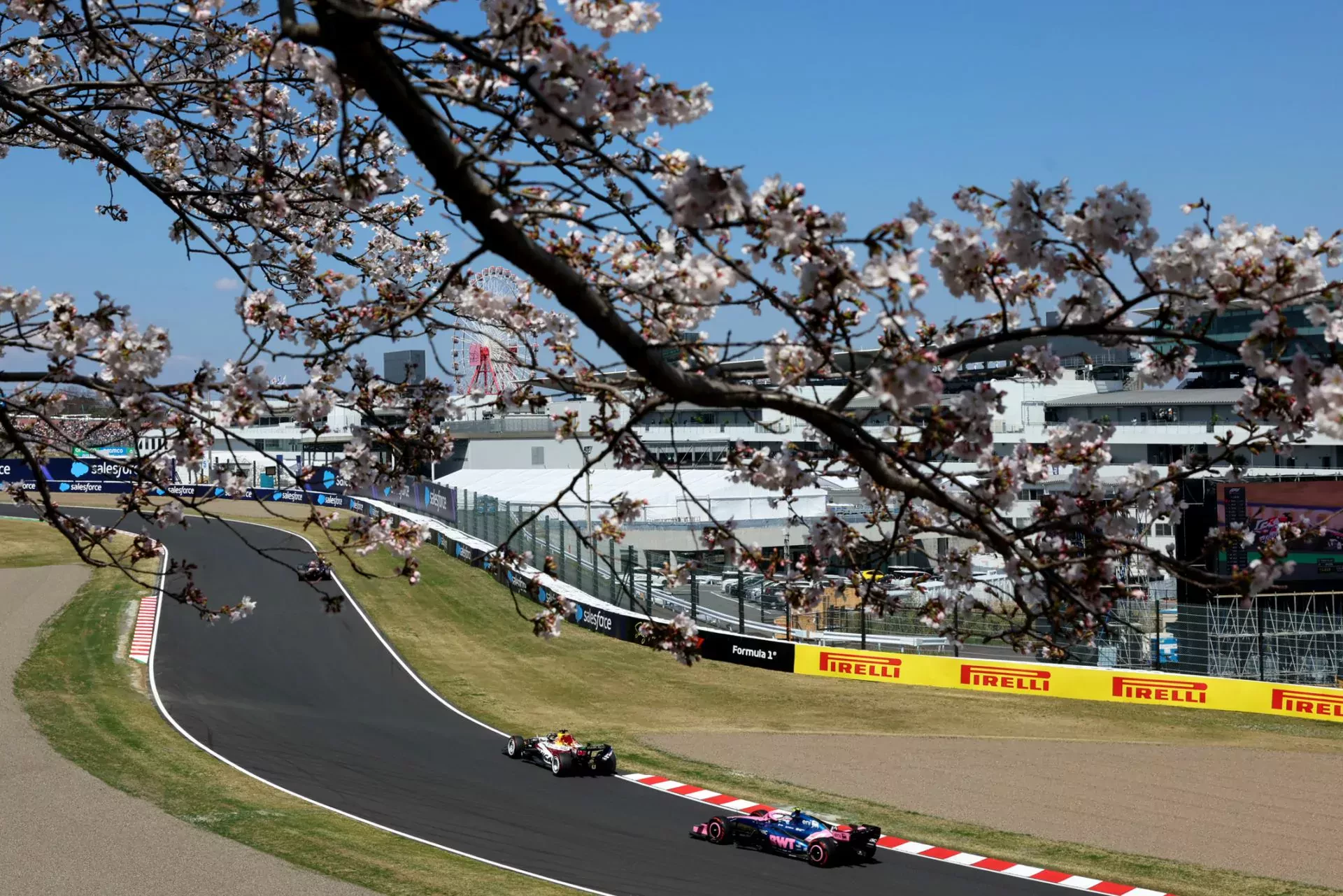F1 Formuła 1 Suzuka Grand Prix Japonii Verstappen Red Bull Mercedes Antonelli wyniki kwalifikacje