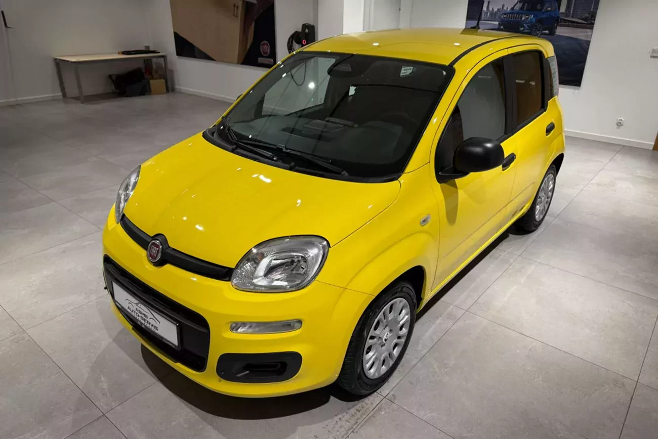 Fiat Pandina Icon