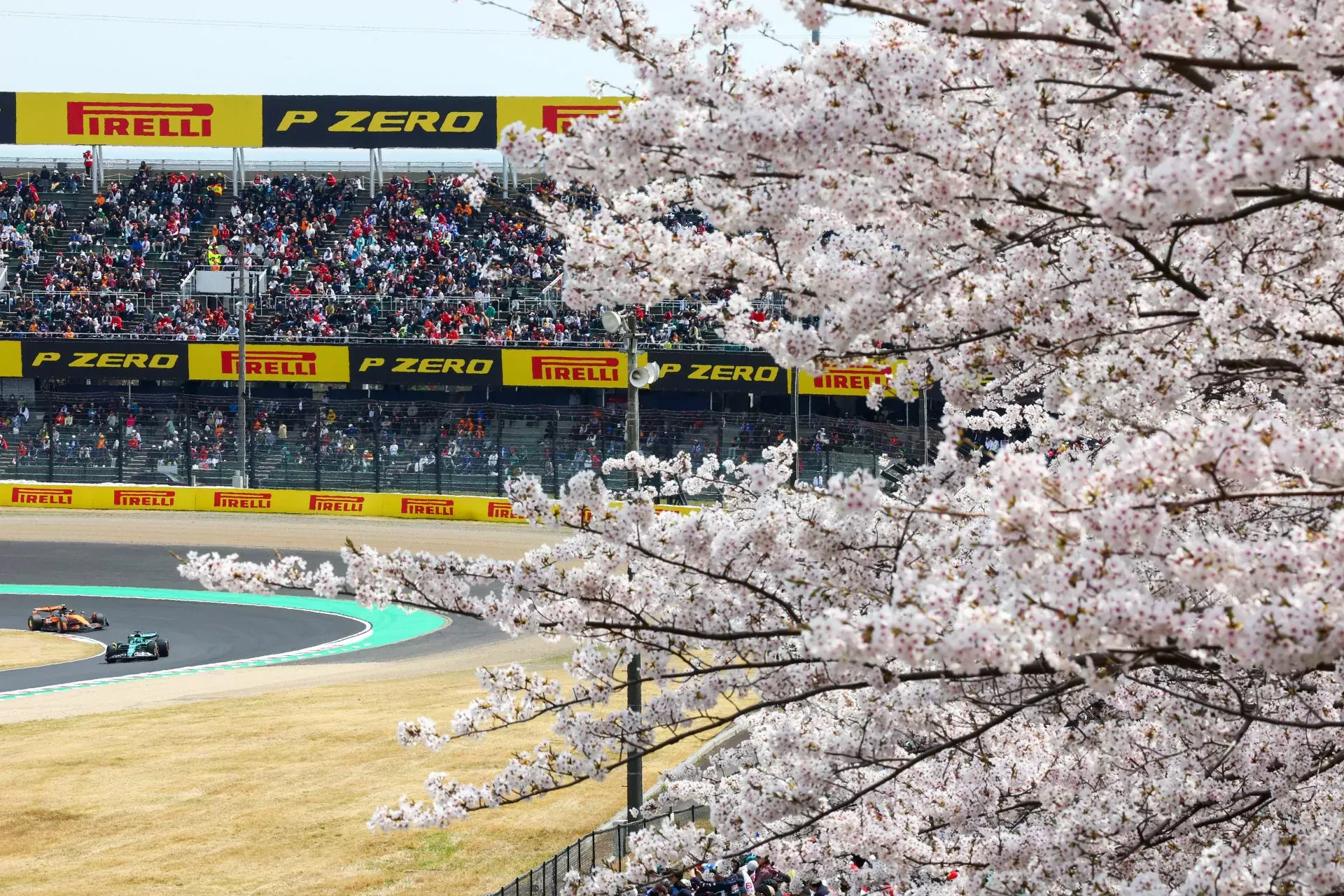 Grand Prix Japonii Japonia F1 Formuła 1 sakura nagoja tokio suzuka kwitnąca wiśnia kraj kwitnącej wiśni cherry blossom