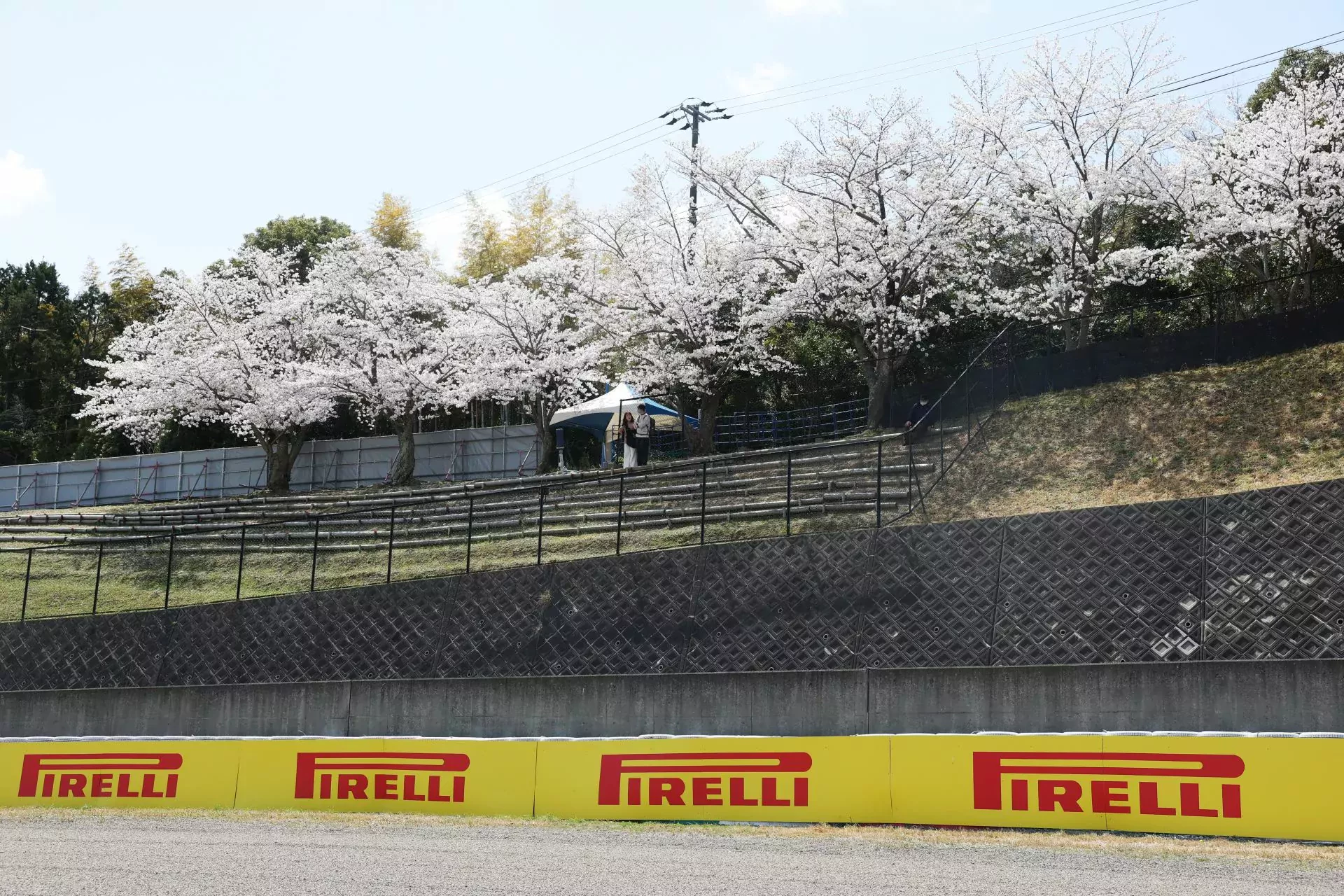 Grand Prix Japonii Japonia F1 Formuła 1 sakura nagoja tokio suzuka kwitnąca wiśnia kraj kwitnącej wiśni cherry blossom
