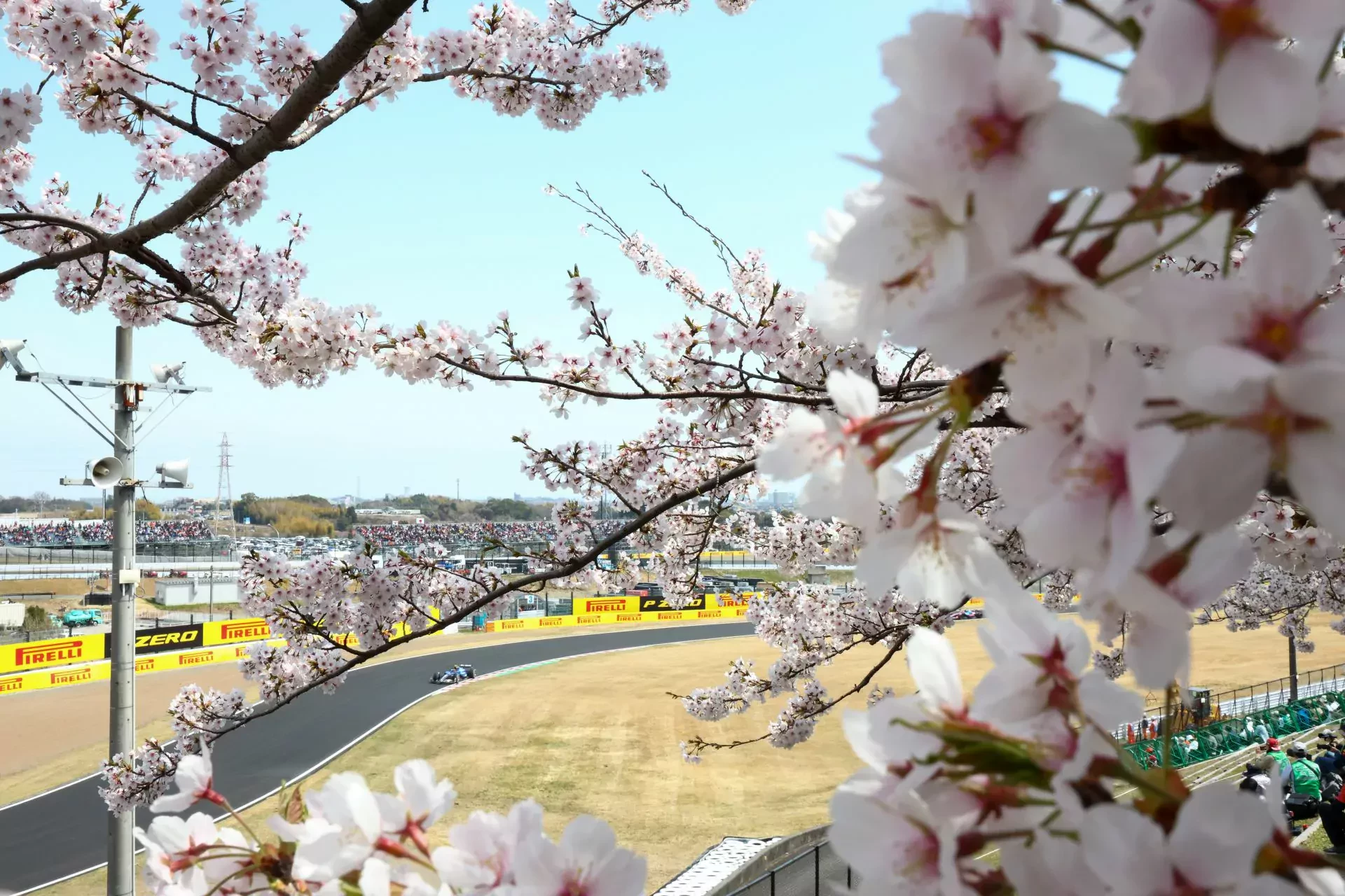 Grand Prix Japonii Japonia F1 Formuła 1 sakura nagoja tokio suzuka kwitnąca wiśnia kraj kwitnącej wiśni cherry blossom
