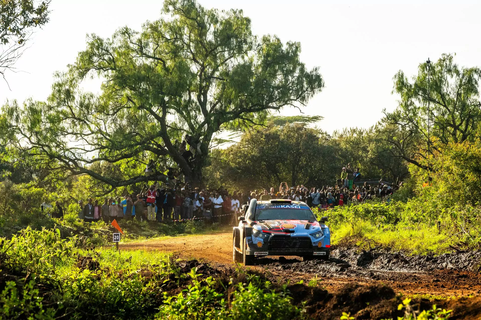 WRC Rajd Safari Solberg Ogier Evans Polacy wyniki piątek etap rajdy samochodowe mistrzostwa świata