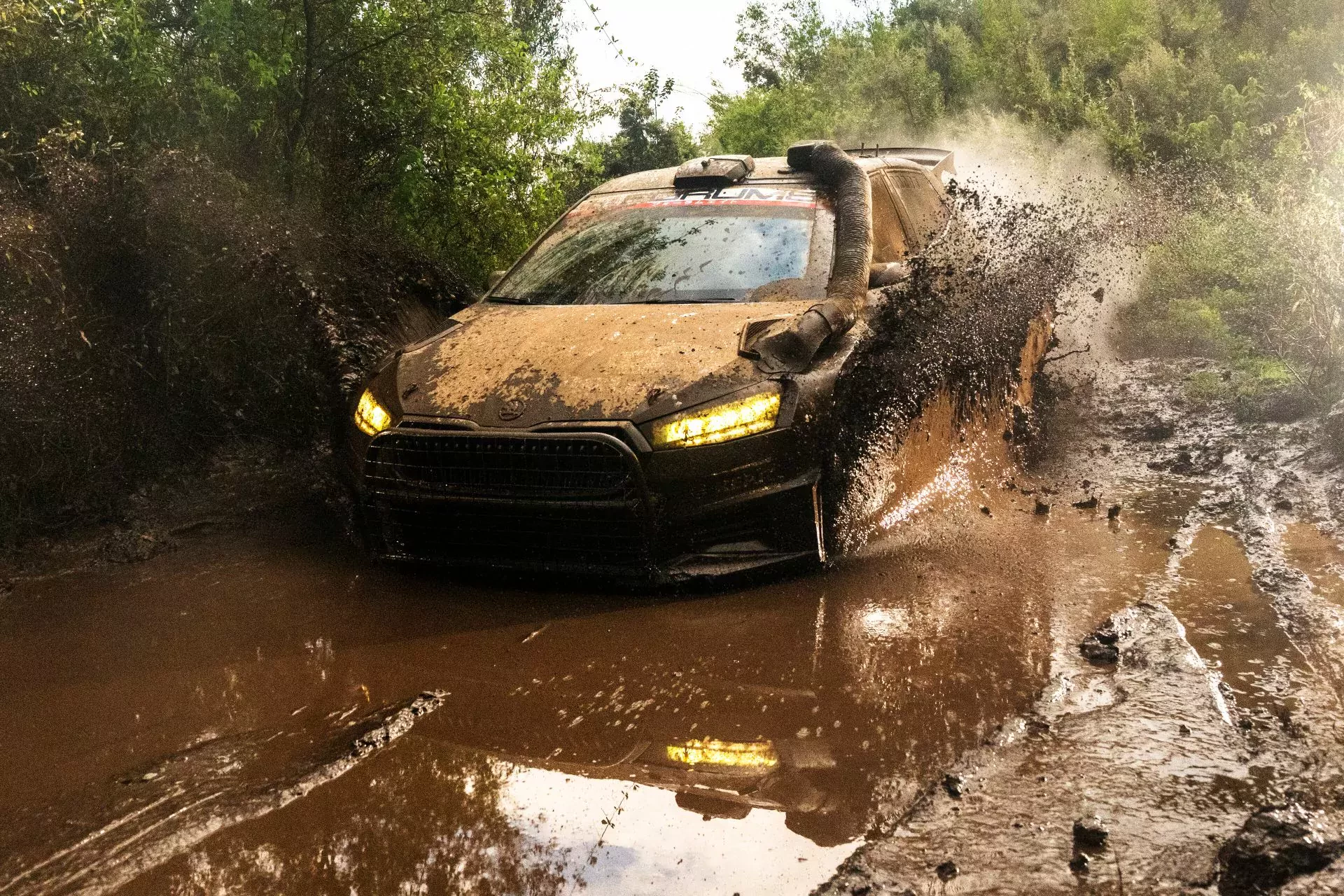 WRC Rajd Safari Solberg Ogier Evans Polacy wyniki piątek etap rajdy samochodowe mistrzostwa świata