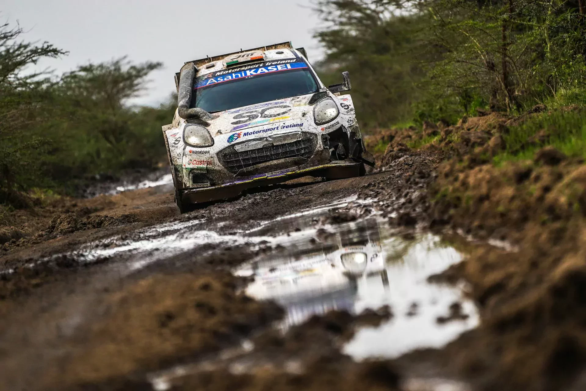 WRC Rajd Safari wyniki rajdy samochodowe Toyota Hyuindai Ford Katsuta