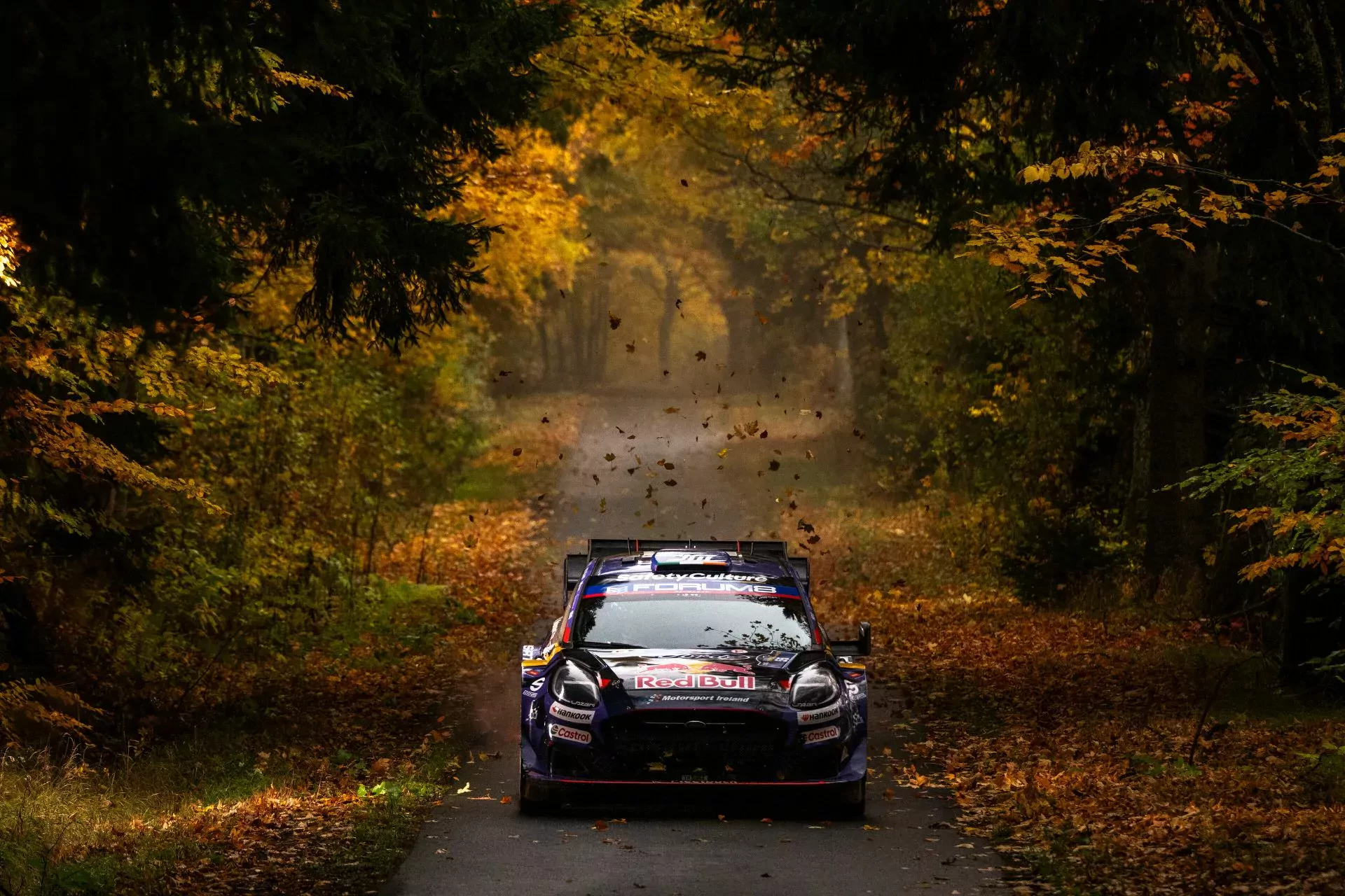 Hankook Ventus strategia opony WRC Rajd Chorwacji Chorwacja rajdy samochodowe pogoda prognozy