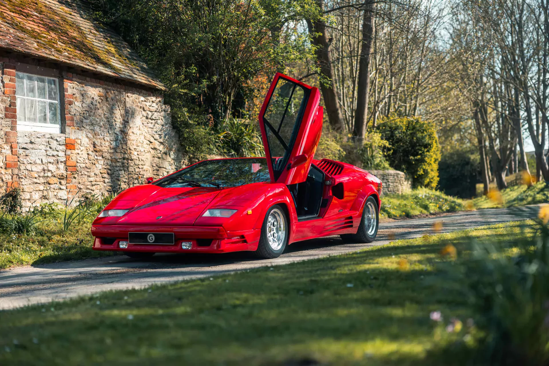 Lamborghini Countach 25th Anniversary