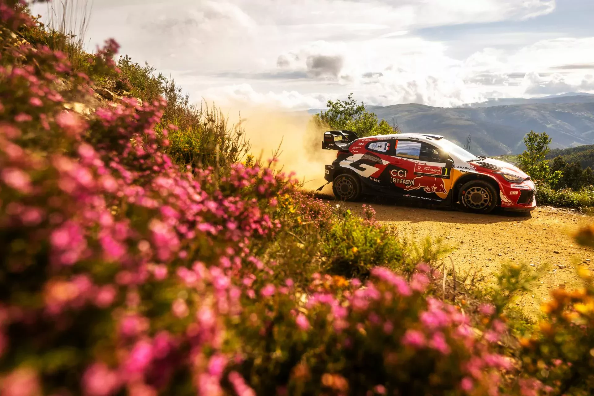 Profesor Ogier powiększa prowadzenie w Portugalii. Stawka WRC ma za sobą trudny dzień walki