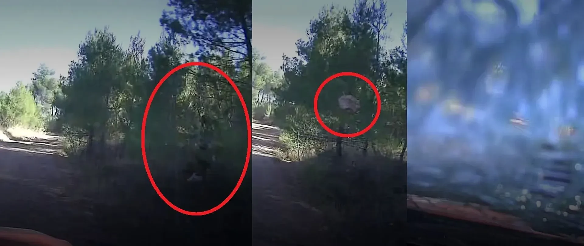 Rajd Akropolu WRC wyniki Polacy abramowski mistrzostwa świata rajdy samochodowe cachon kamień głaz kibice kibic