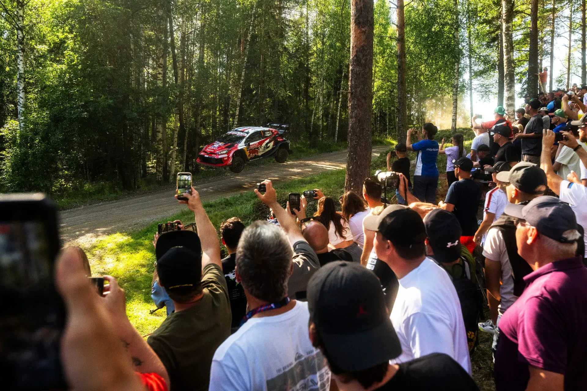 WRC Rajd Finlandii wyniki Ogier wypadek Hanook tire Polska opony rajdy samochodowe mistrzostwa świata