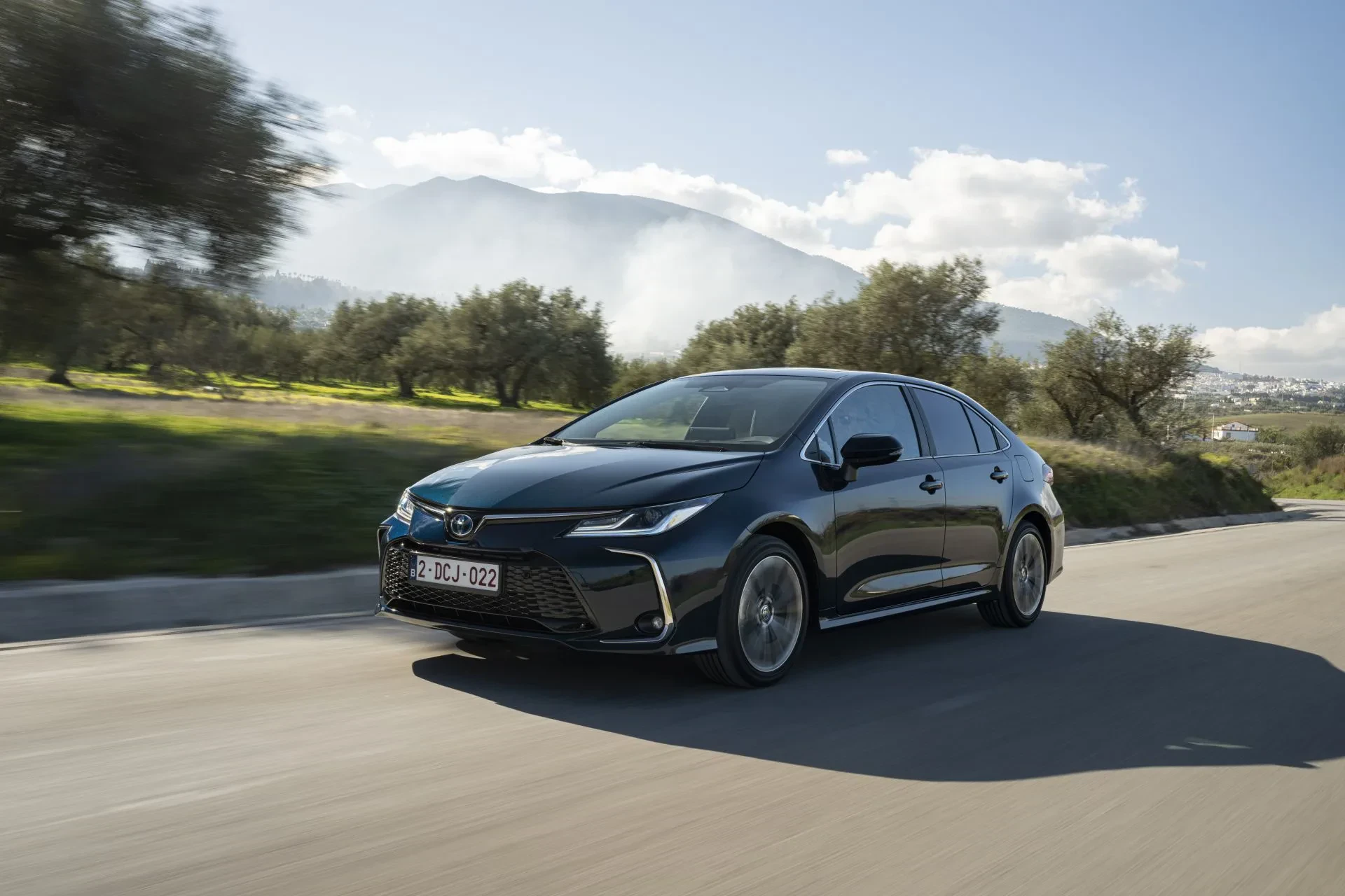 Toyota Corolla Skoda Octavia wyniki sprzedaży firmy klienci indywidualni osoby prywatne SUV crossover